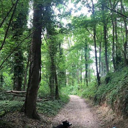 Casa vacanze Du Petit Pressoir Près Du Treport Baie De Somme Classé 3 étoiles