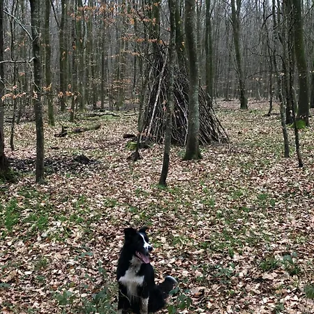 Du Petit Pressoir Près Du Treport Baie De Somme Classé 3 étoiles Casa vacanze Saint-Pierre-en-Val