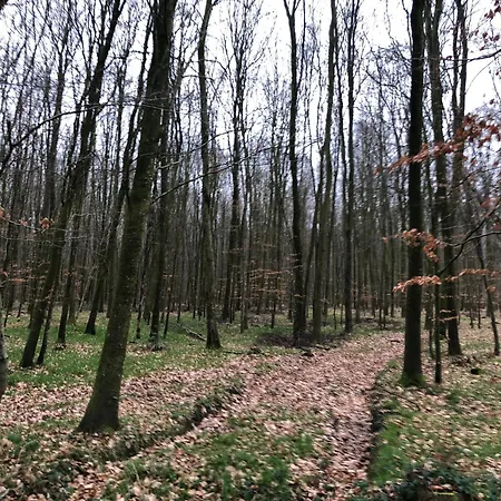 Du Petit Pressoir Près Du Treport Baie De Somme Classé 3 étoiles *