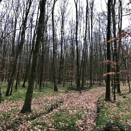 Du Petit Pressoir Près Du Treport Baie De Somme Classé 3 étoiles * Saint-Pierre-en-Val