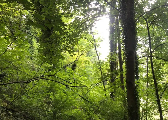 Du Petit Pressoir Pres Du Treport Baie De Somme Classe 3 Etoiles Saint-Pierre-en-Val