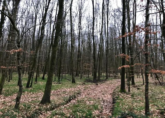 Du Petit Pressoir Pres Du Treport Baie De Somme Classe 3 Etoiles * Saint-Pierre-en-Val